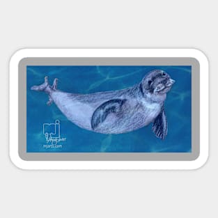 harp seal Sticker